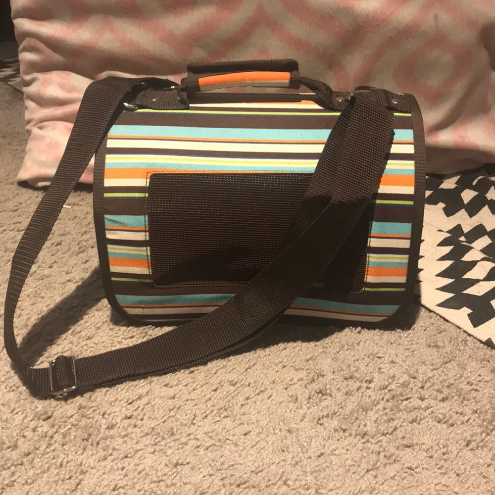 Guinea pigs caring case